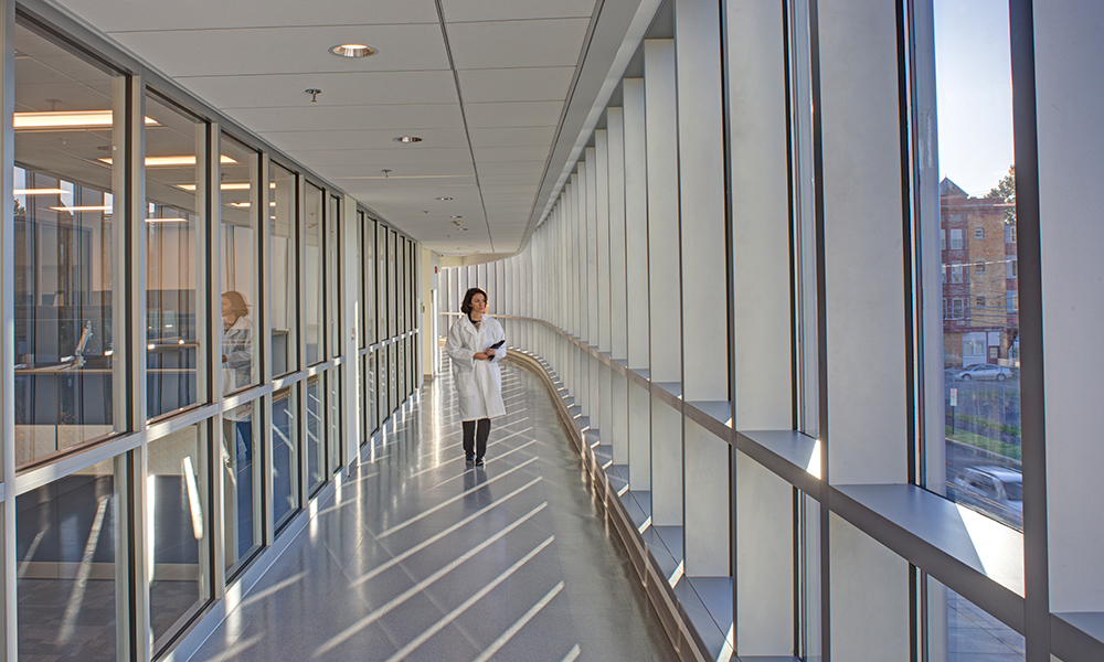 <p>Floor to ceiling glass allows light to fill corridors and transparent collaborative space and labs.</p>
