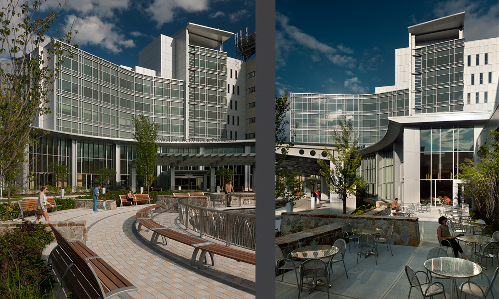 <p>The Oasis creates relaxing spaces in which to think and meditate, and at it’s periphery, hosts an outdoor café and dining terrace where patrons can eat in the ambiance of the fountain. The project’s sustainable features reinforce the sense of a healing environment as well, utilizing reclaimed water throughout the landscape outside, while reducing water and energy usage inside. </p>
