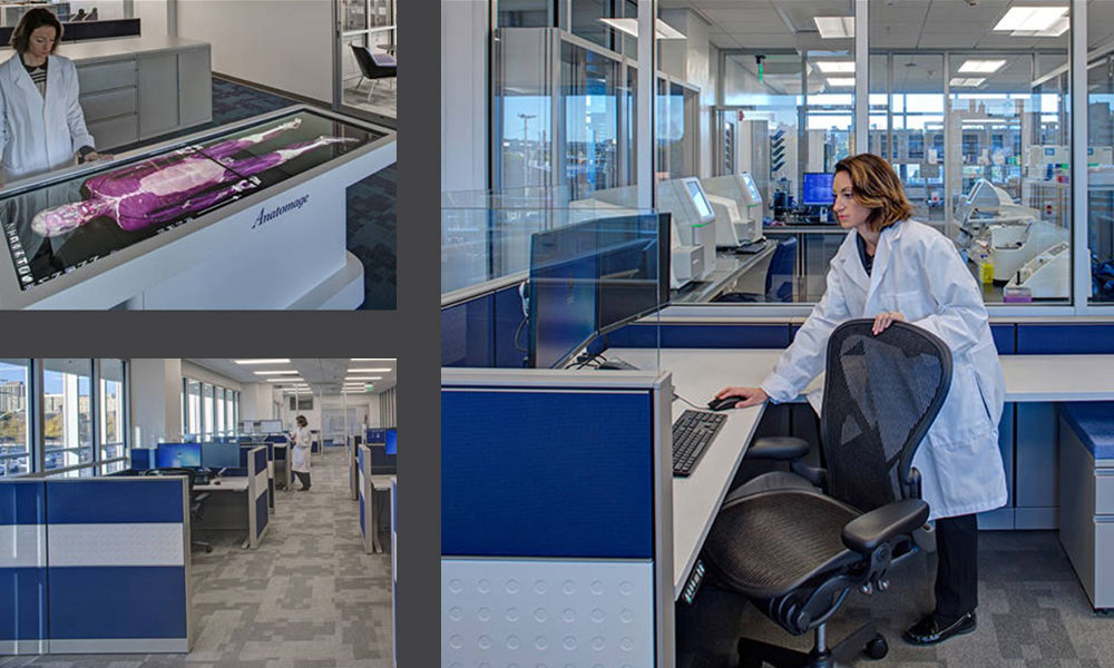 <p>Glass-enclosed incubator labs are flexible and transparent, enhancing connectivity, while providing daylight and views throughout. </p>
