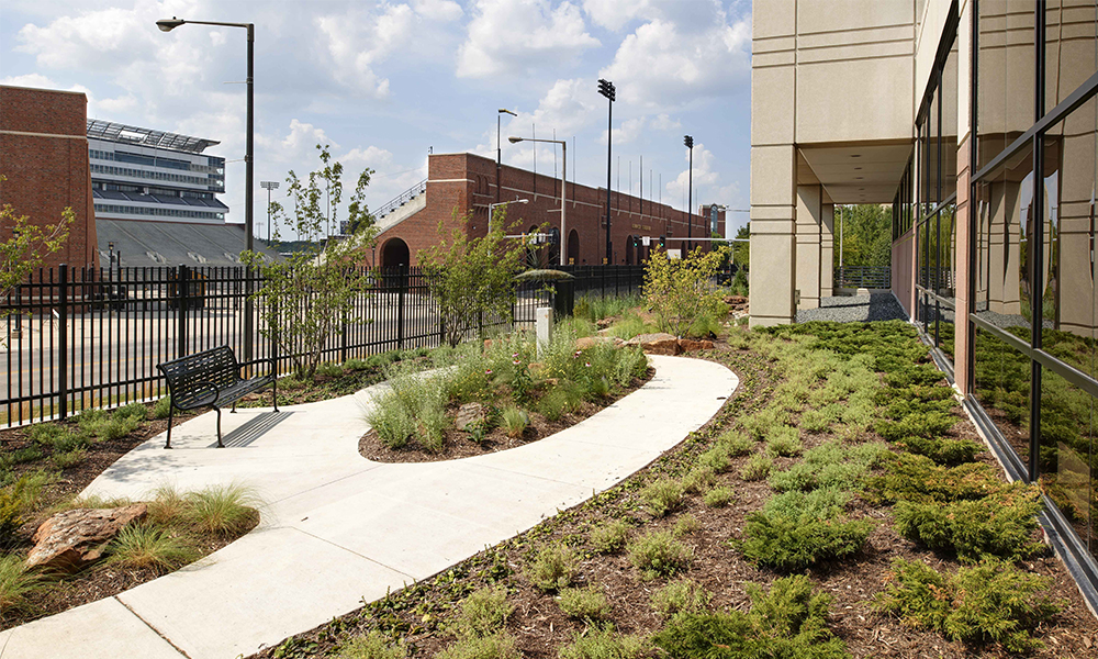 <p>Enlarged windows provide natural daylight and overlook a healing garden that offers a view of historic Kinnick Stadium.</p>
