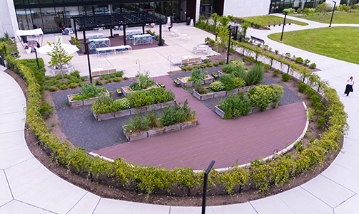 L'Oreal North America Research and Innovation Center exterior gardens and terrace