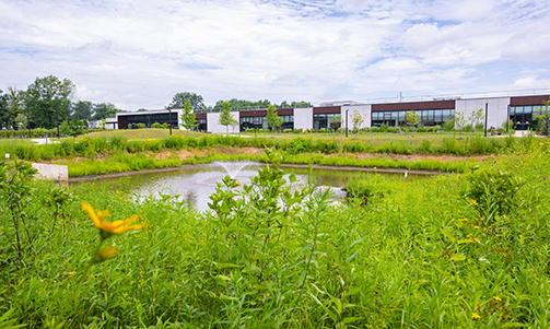 L'Oreal North America Research and Innovation Center exterior pond