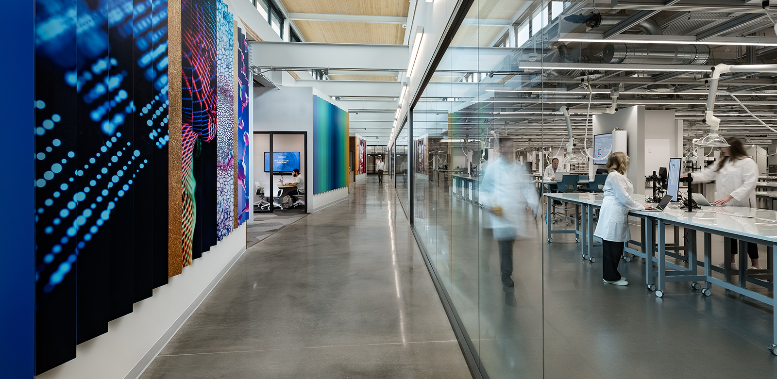 L'Oreal North America Research and Innovation Center flexible lab