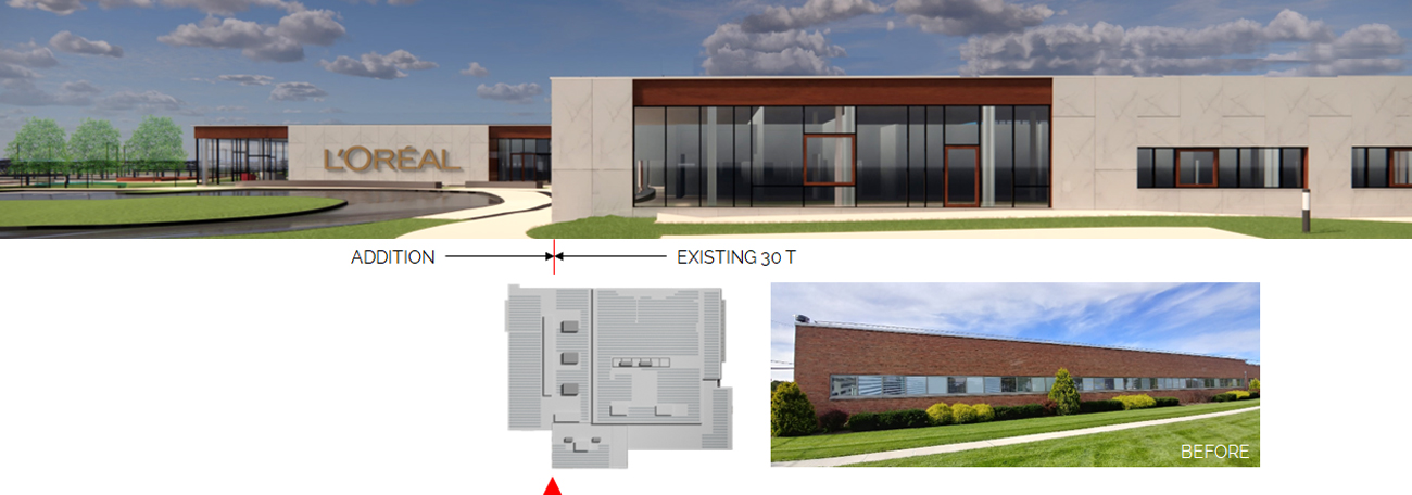 L'Oreal Section and Before