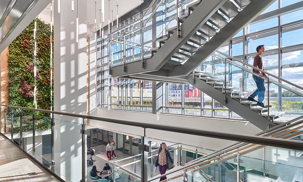 <p>Designed with health and wellness in mind, a two-story living green wall and green roof showcases the biophilic design, enhancing air quality and focus while grounding students in nature through a dramatic, ever growing centerpiece. Central to the open three-story stair with views of campus and downtown Philadelphia. the green wall connects occupants with both nature and place.</p>
